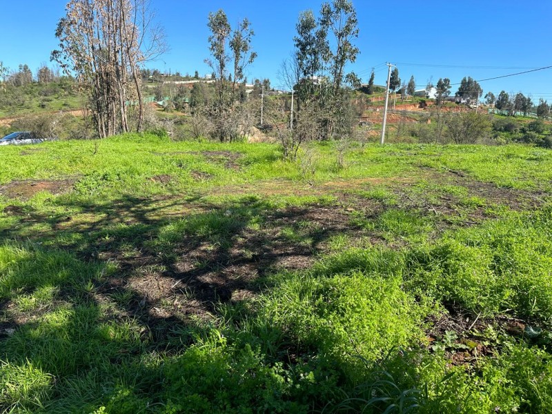 Parcela en venta en Villa Alemana — foto 8
