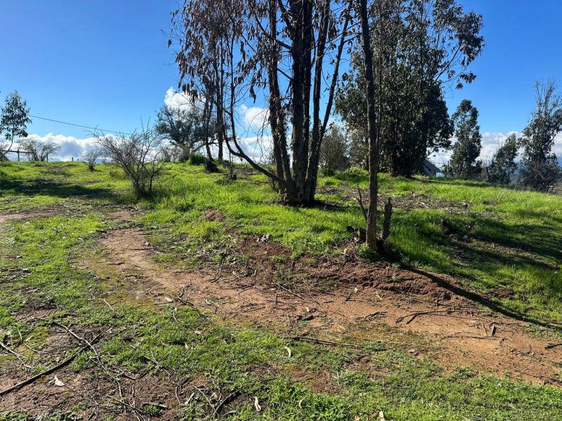 Parcela en venta en Villa Alemana — foto 9