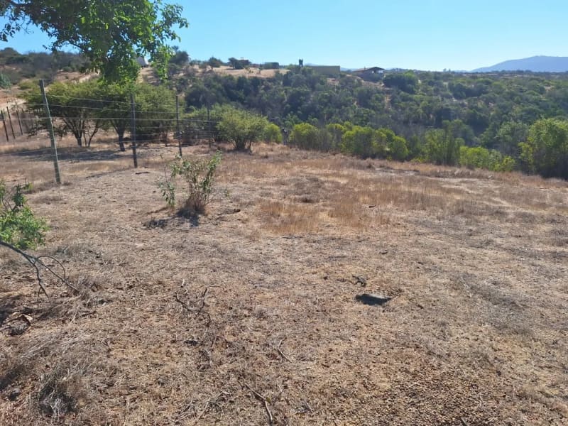 Parcela en venta en Villa Alemana — foto 2