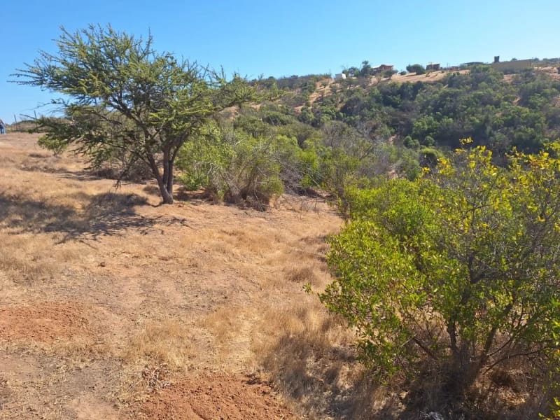 Parcela en venta en Villa Alemana — foto 4