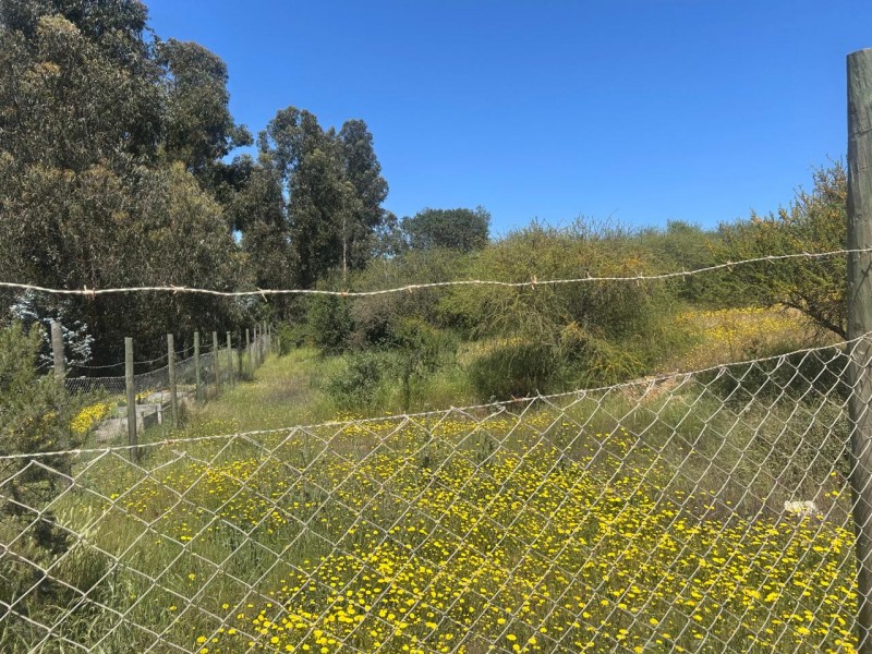 Parcela en venta en Villa Alemana — foto 1