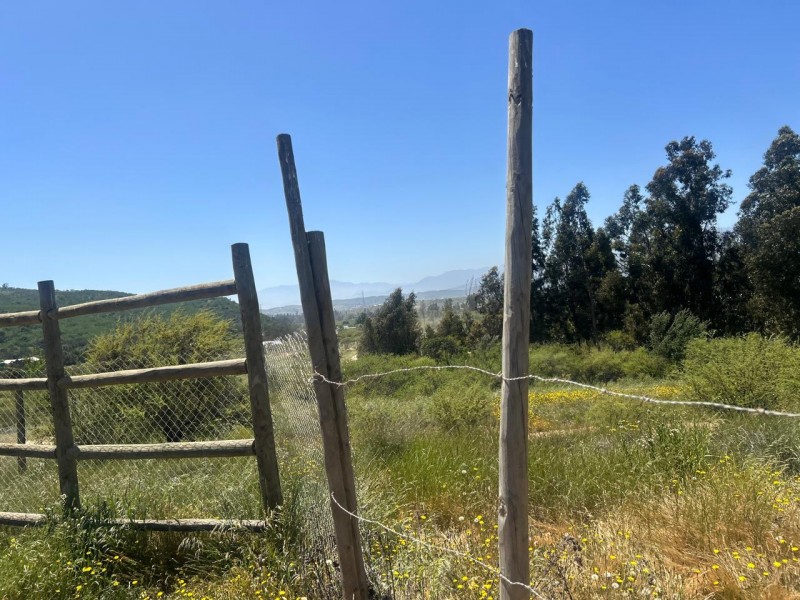 Parcela en venta en Villa Alemana — foto 2