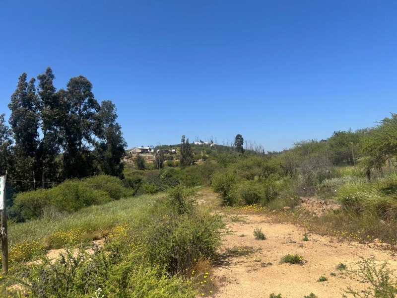 Parcela en venta en Villa Alemana — foto 3