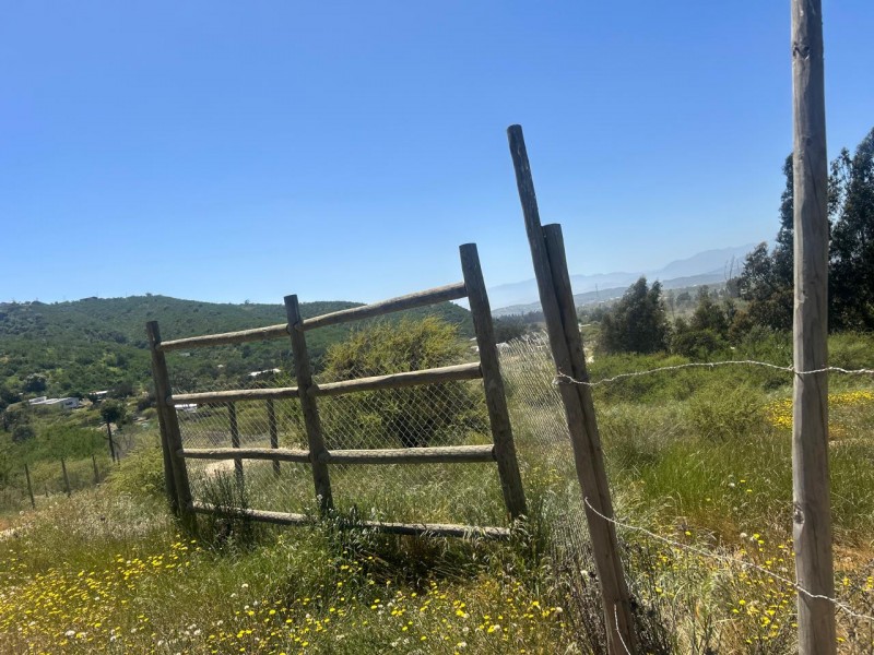 Parcela en venta en Villa Alemana — foto 5