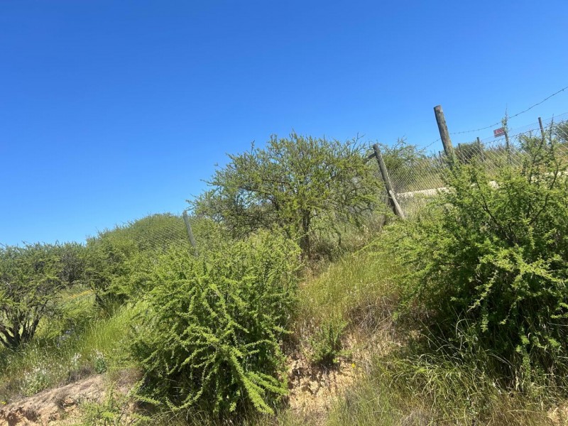 Parcela en venta en Villa Alemana — foto 6