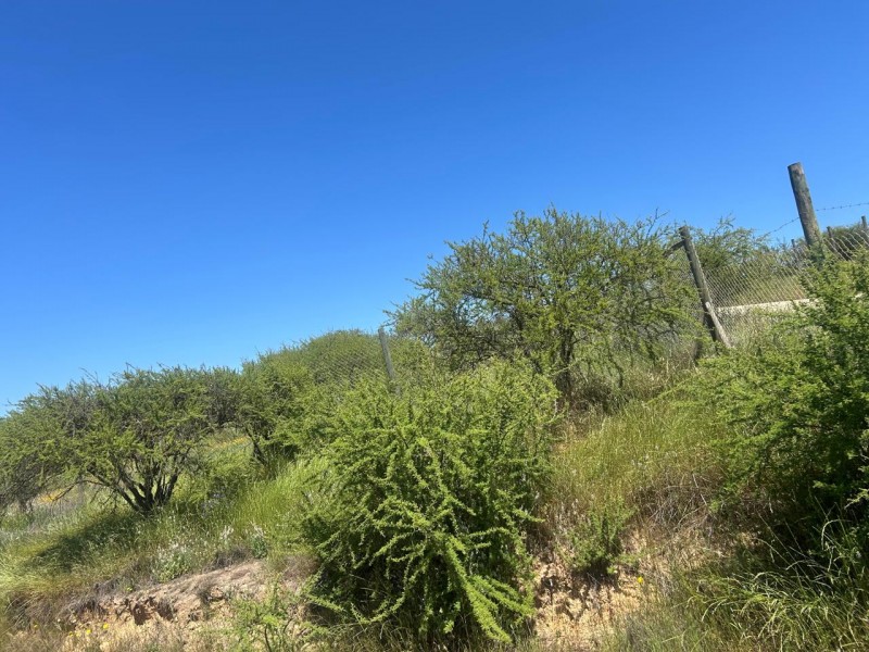 Parcela en venta en Villa Alemana — foto 7