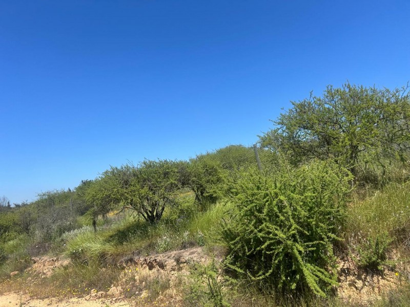 Parcela en venta en Villa Alemana — foto 8
