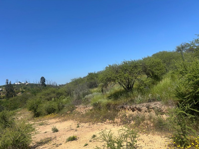 Parcela en venta en Villa Alemana — foto 9