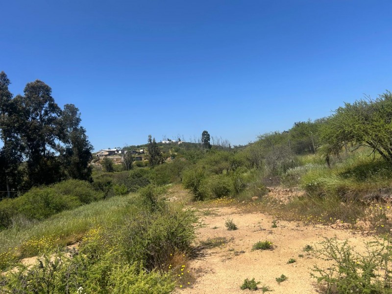 Parcela en venta en Villa Alemana — foto 10