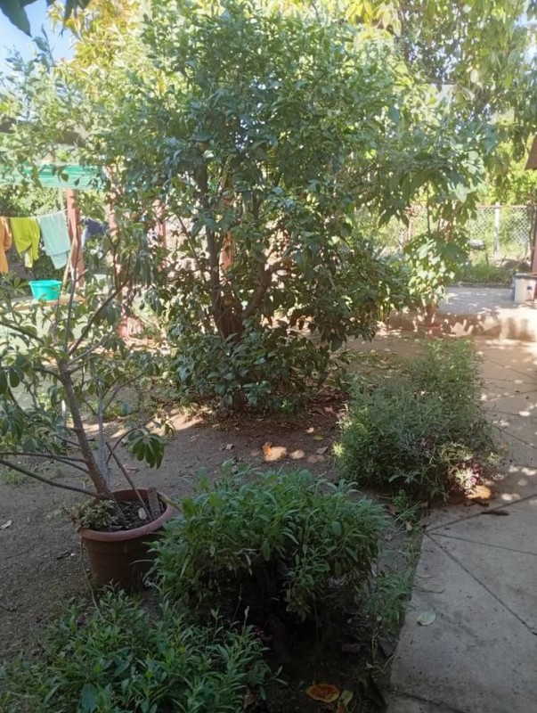 Casa en venta en Villa Alemana — foto 7