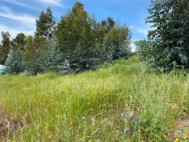 Terreno en venta en Concón — foto 3