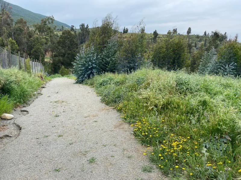 Terreno en venta en Concón — foto 4