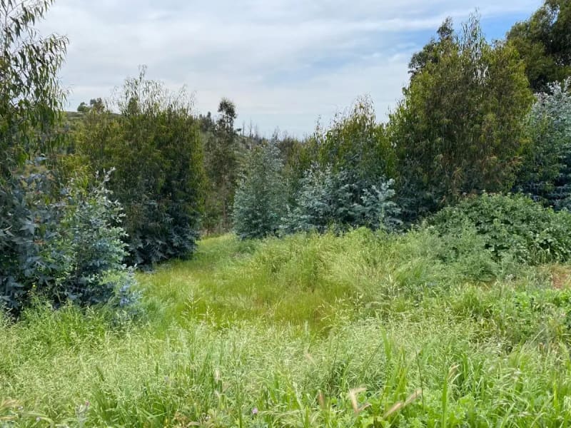 Terreno en venta en Concón — foto 5