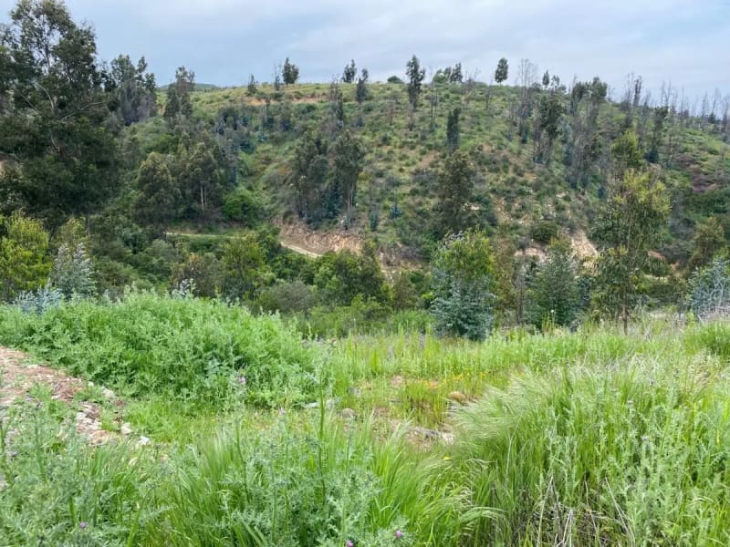 Terreno en venta en Concón — foto 6