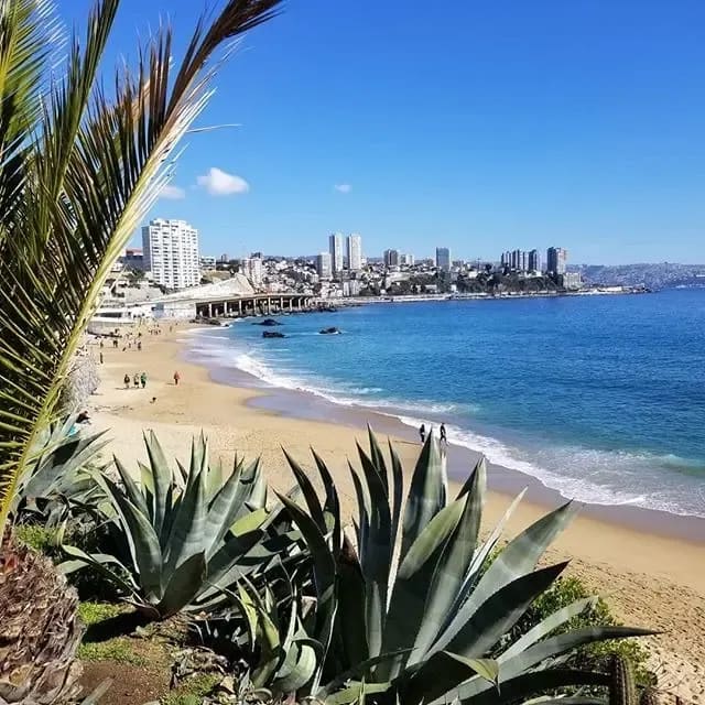 Departamento en venta en Viña del Mar — foto 1