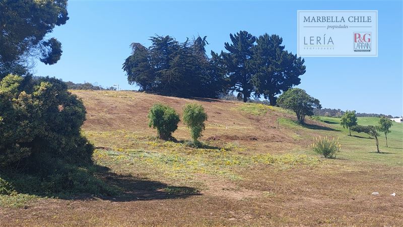Terreno en venta en Puchuncaví — foto 10