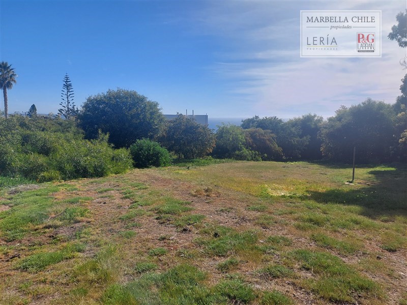 Terreno en venta en Puchuncaví — foto 8
