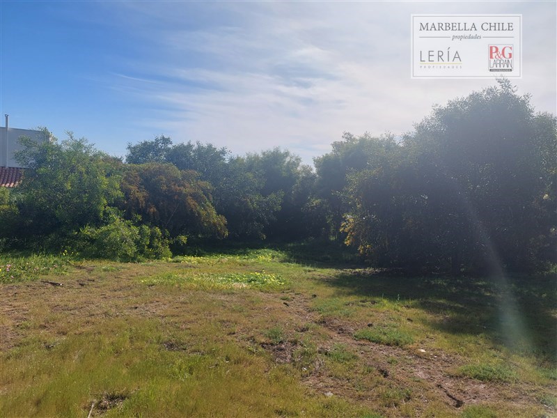Terreno en venta en Puchuncaví — foto 10