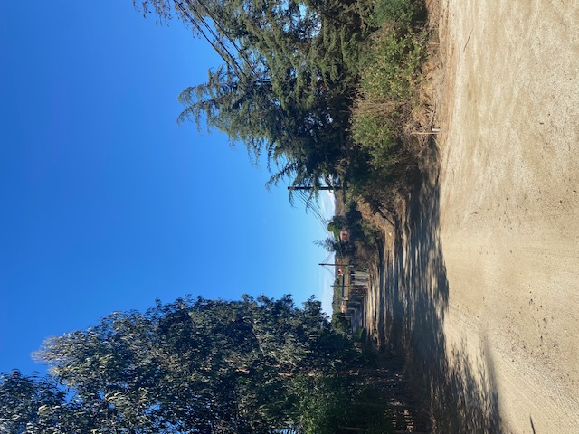 Parcela en venta en Quintero — foto 6