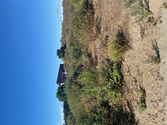 Parcela en venta en Quintero — foto 10