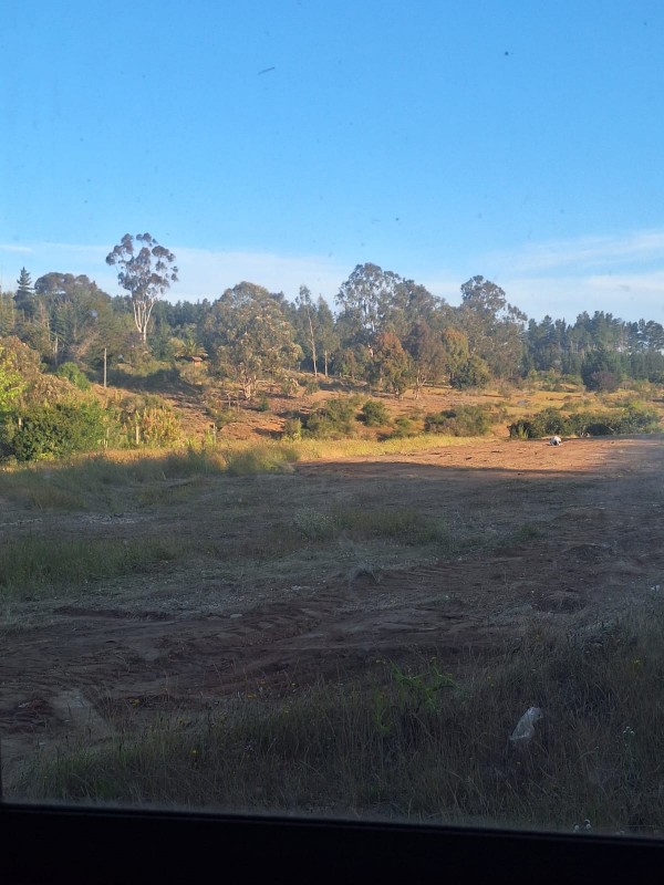 Parcela en venta en Algarrobo — foto 8