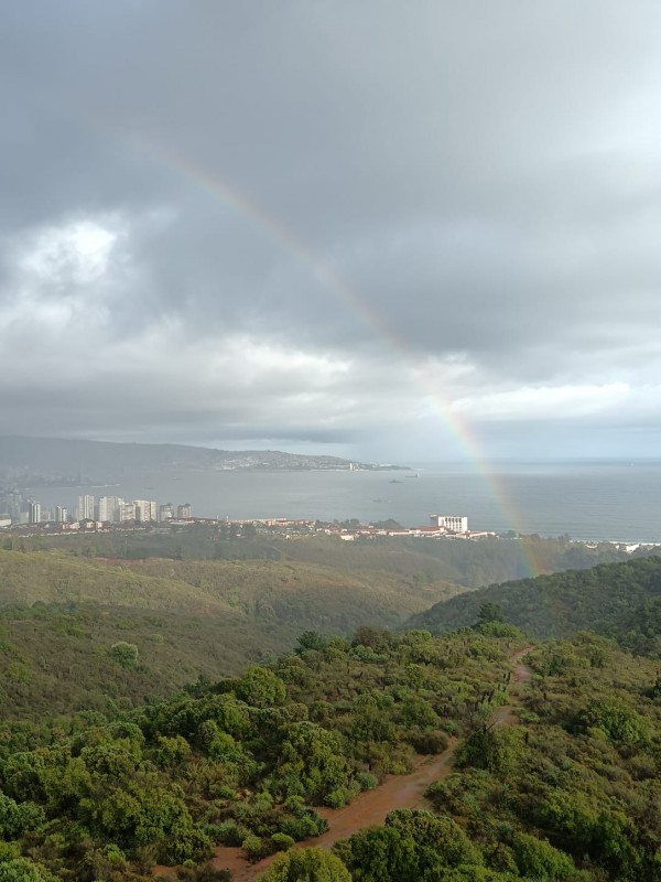 Parcela en venta en Algarrobo — foto 10