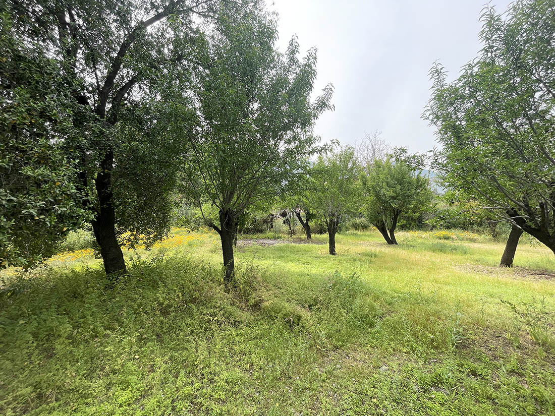 Parcela en venta en Peñalolén — foto 3