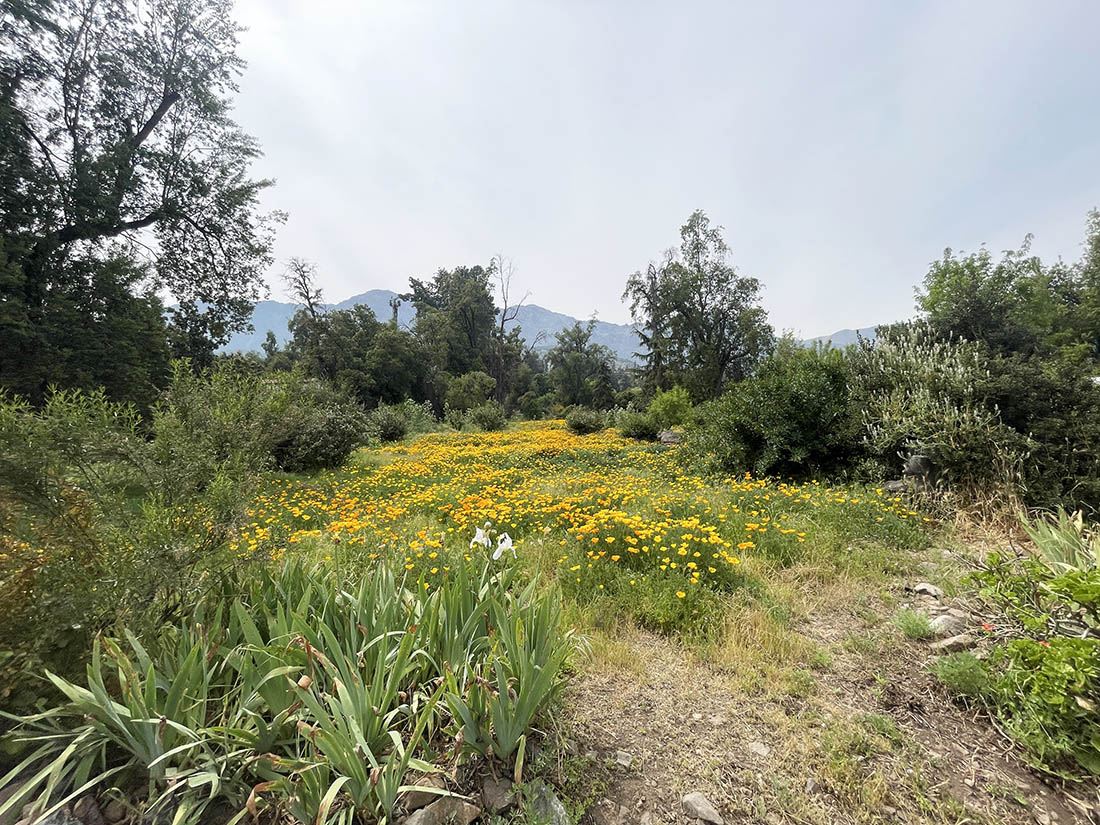 Parcela en venta en Peñalolén — foto 7