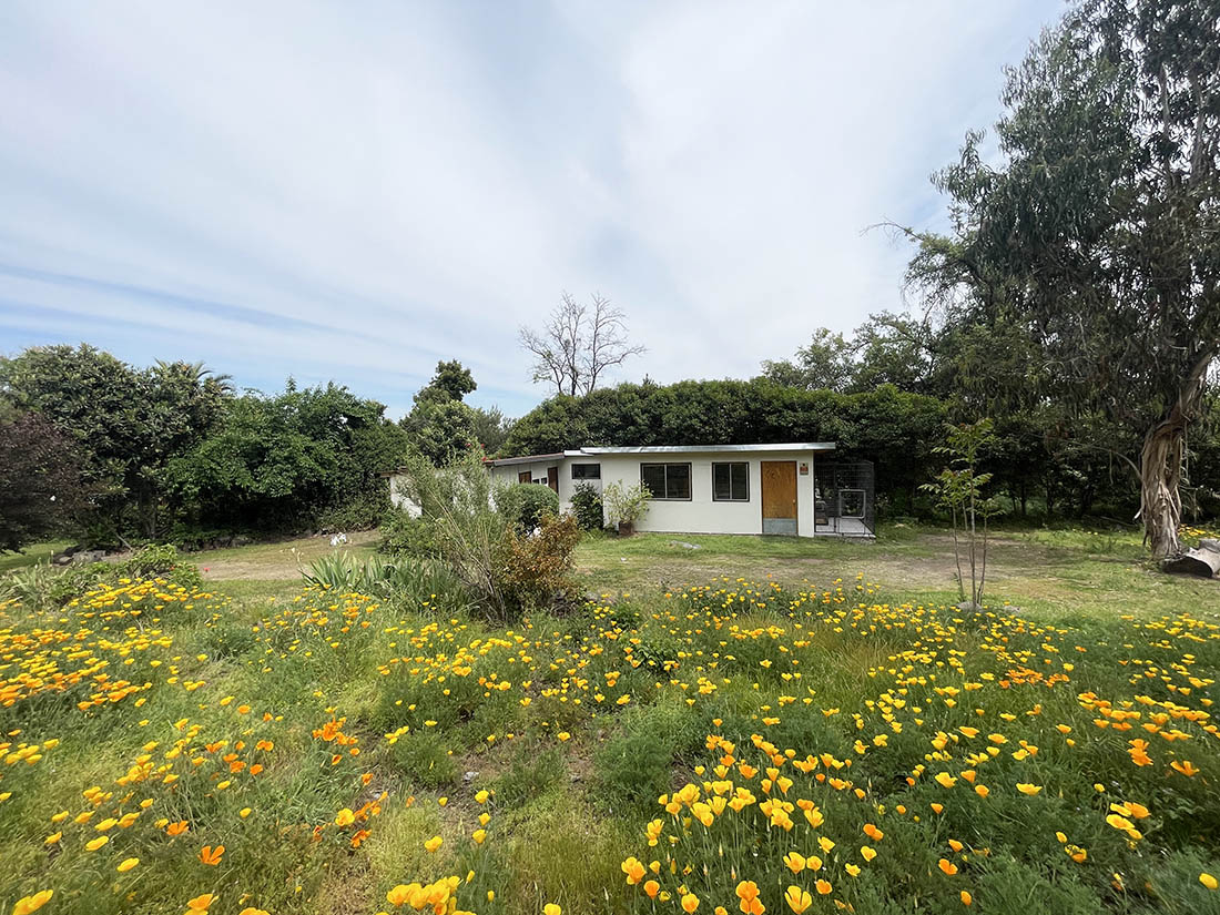 Parcela en venta en Peñalolén — foto 8