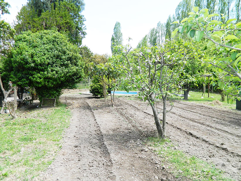 Parcela en venta en San Bernardo — foto 6