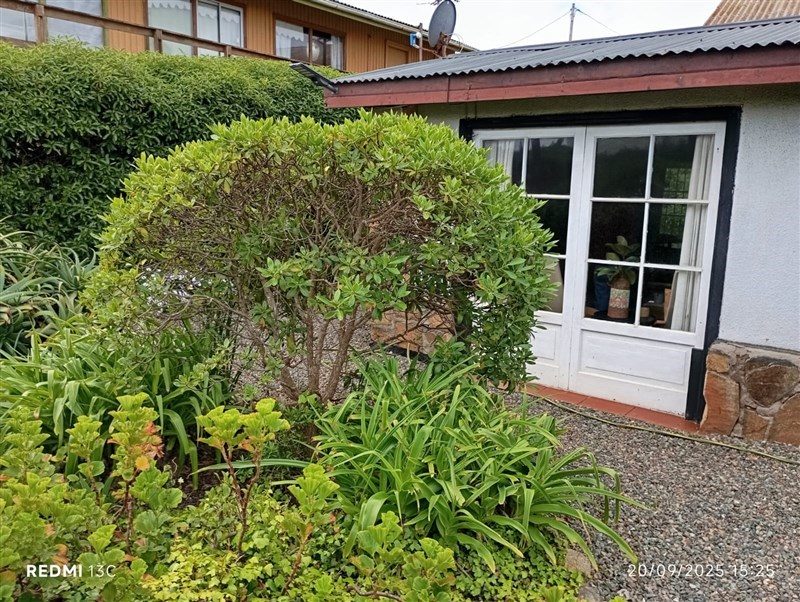 Casa en venta en La Ligua — foto 2