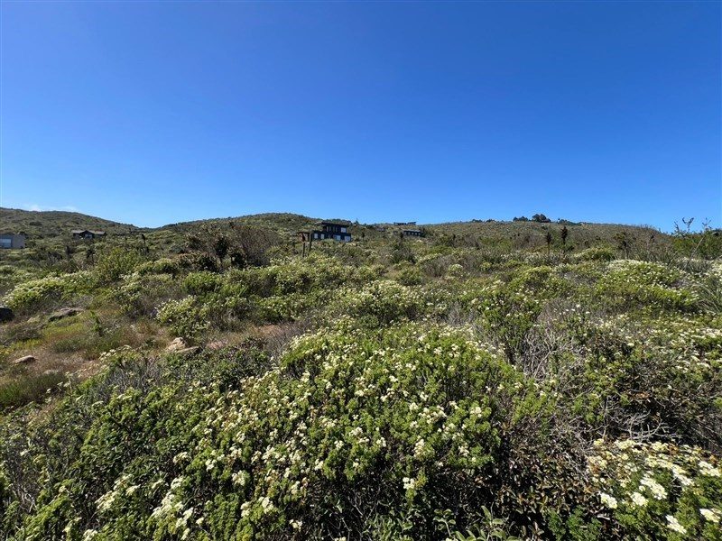 Terreno en venta en La Ligua — foto 2
