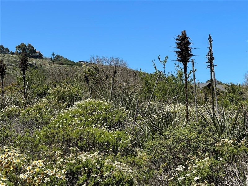 Terreno en venta en La Ligua — foto 4