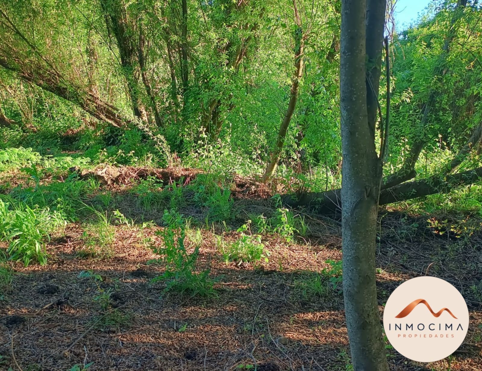 Campo en arriendo en Longaví — foto 10