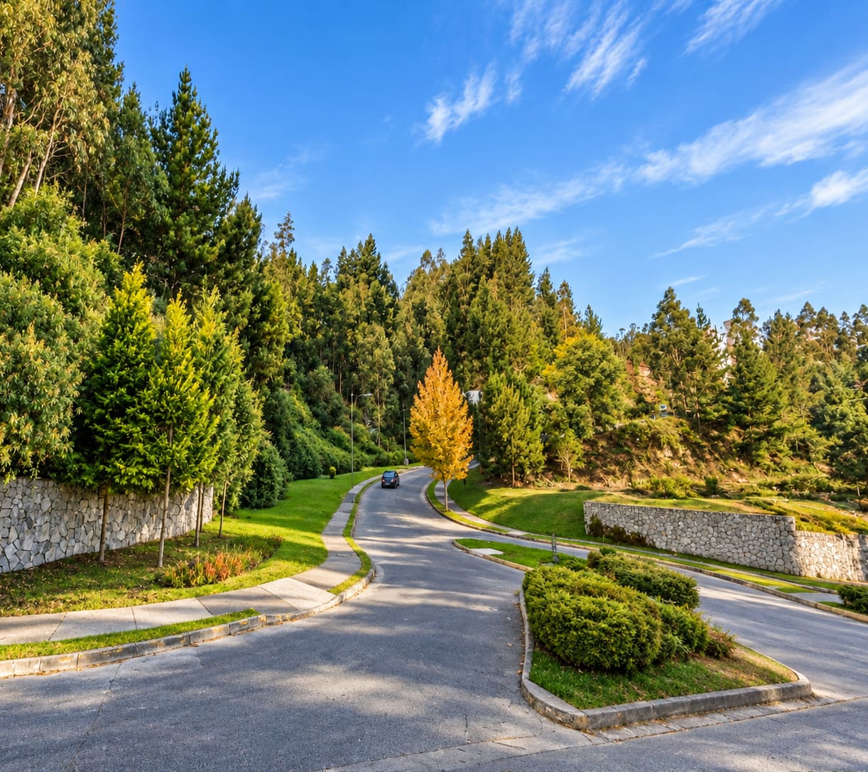 Terreno en venta en Concepción — foto 1