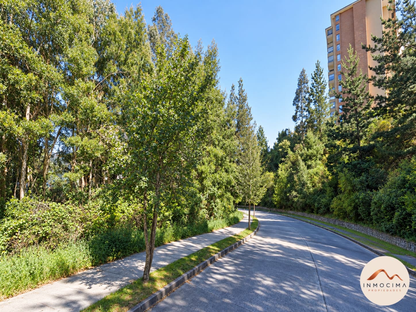 Terreno en venta en Concepción — foto 4