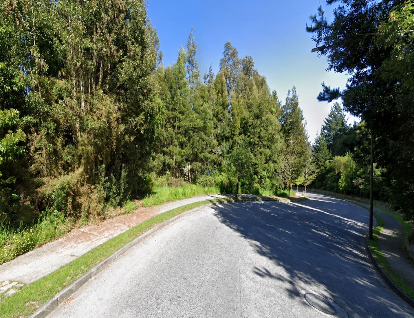 Terreno en venta en Concepción — foto 1