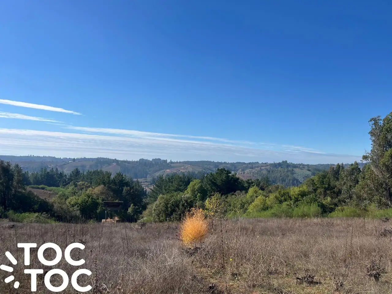 Parcela en venta en Coelemu — foto 3