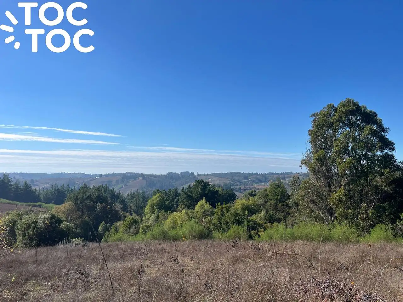 Parcela en venta en Coelemu — foto 5