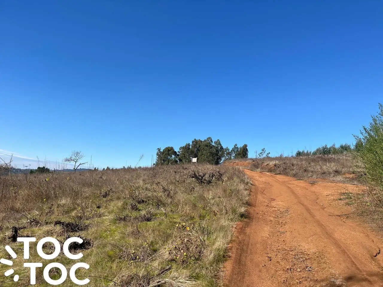 Parcela en venta en Coelemu — foto 10
