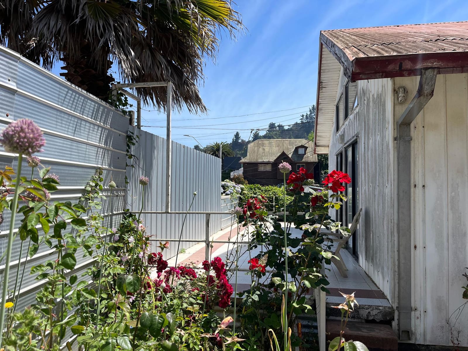 Casa en venta en Tomé — foto 4