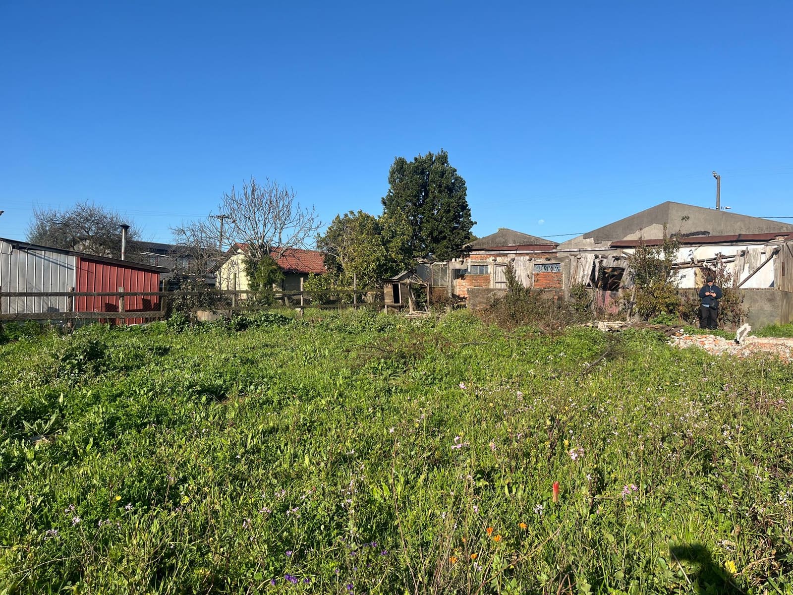 Terreno en venta en Tomé — foto 1