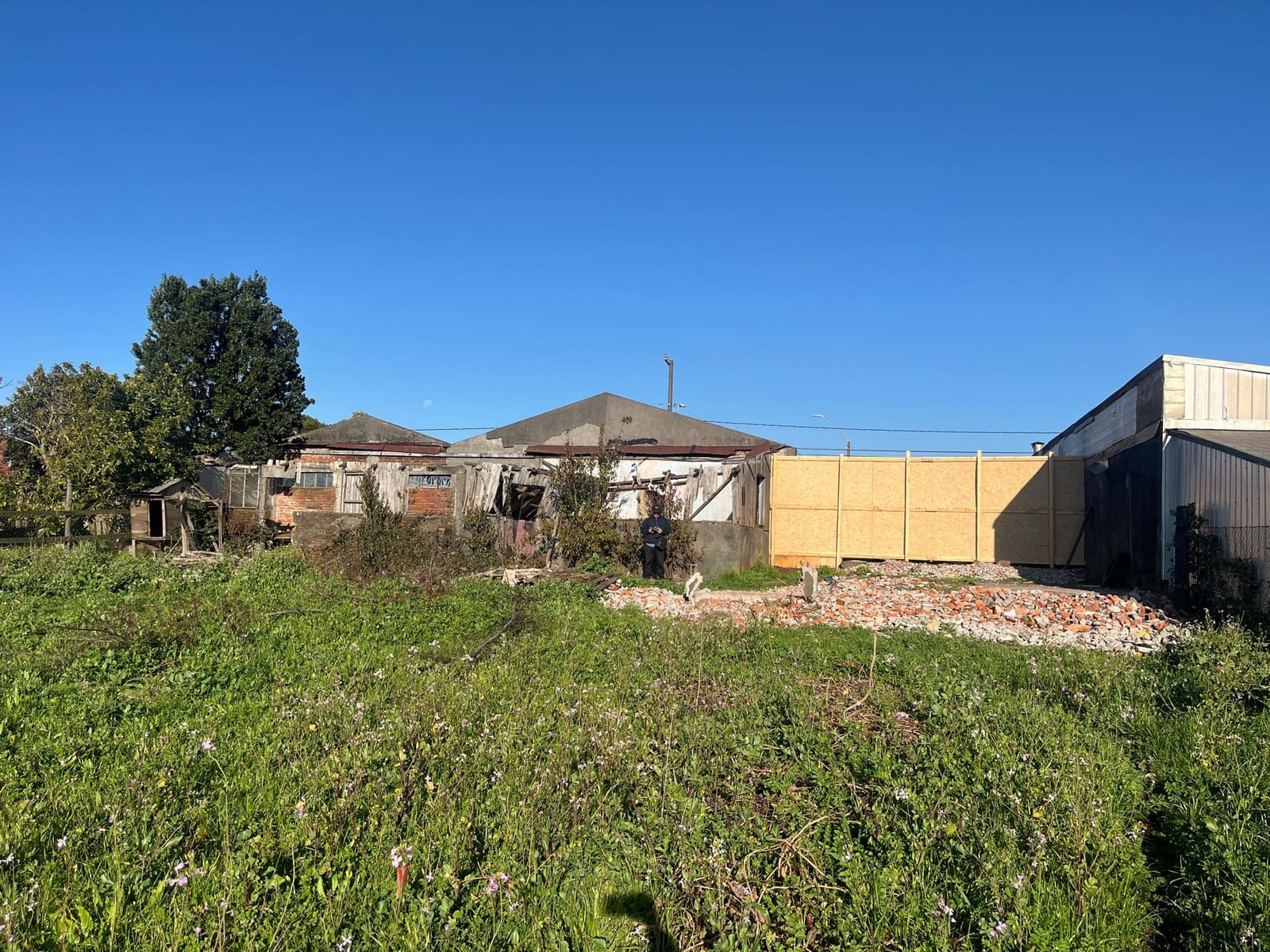 Terreno en venta en Tomé — foto 3