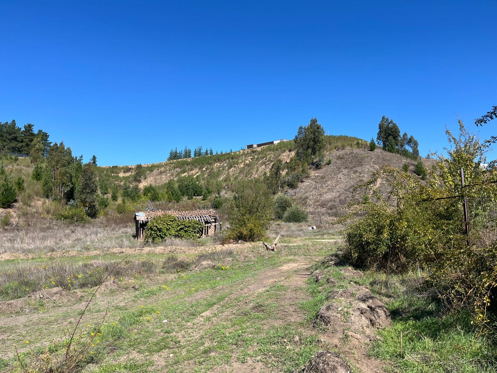 Parcela en venta en Treguaco — foto 3