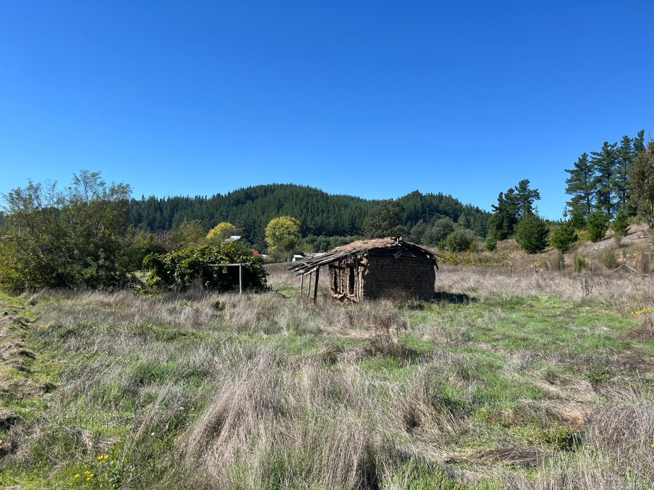 Parcela en venta en Treguaco — foto 9