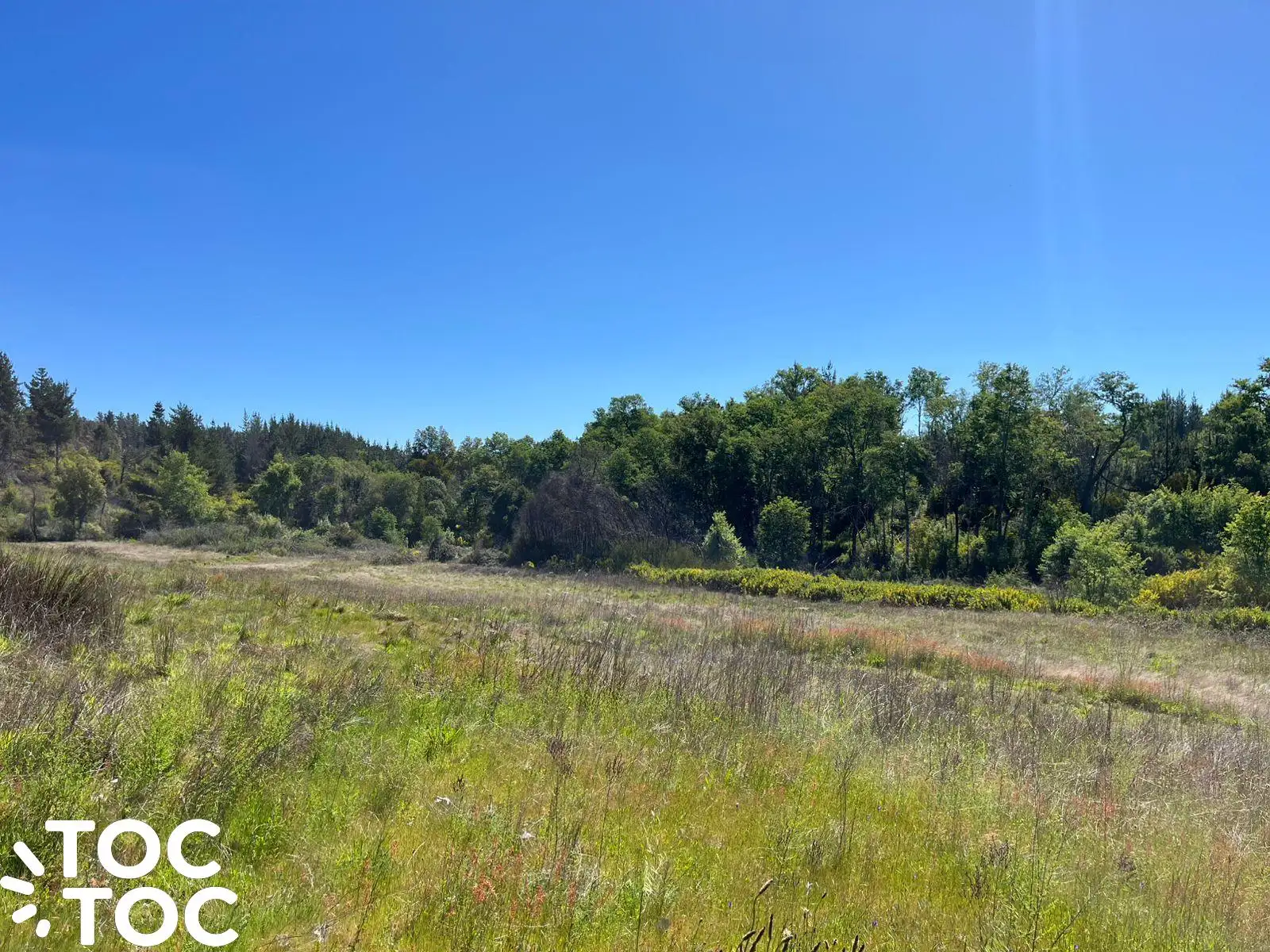 Campo en venta en Coelemu — foto 1