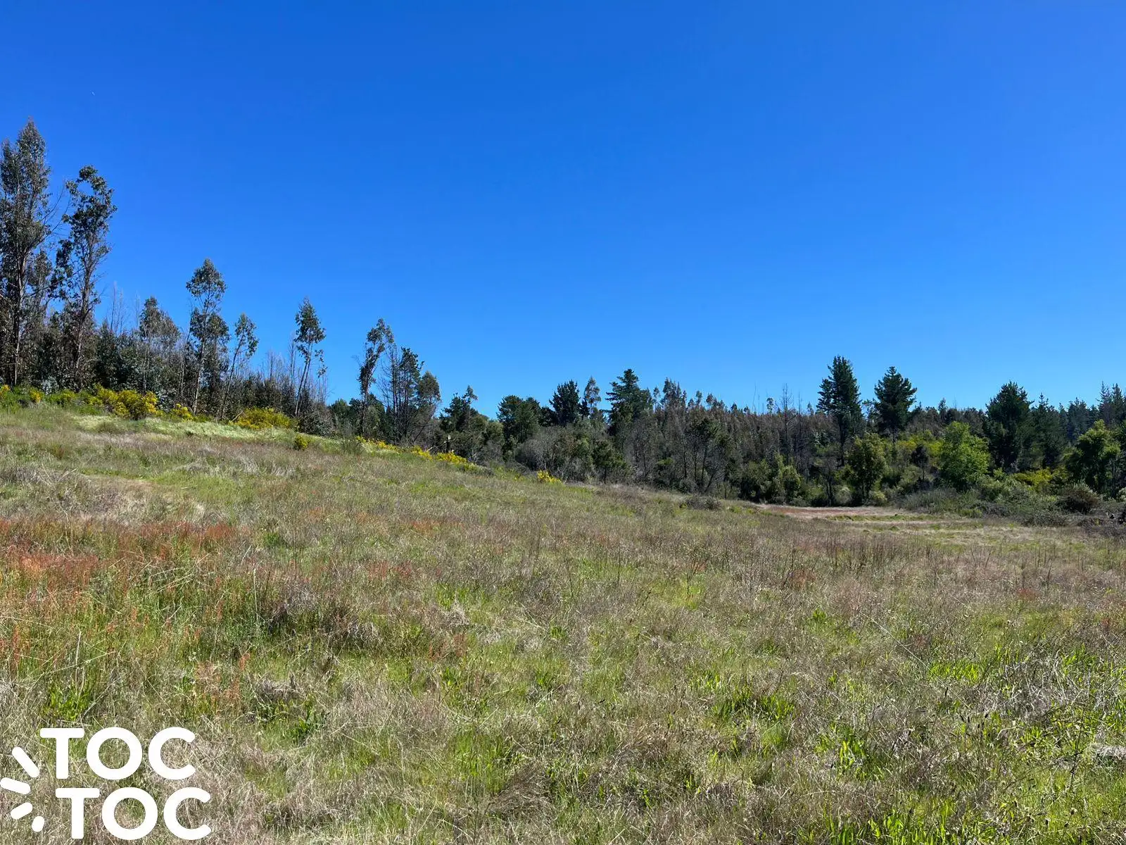 Campo en venta en Coelemu — foto 5