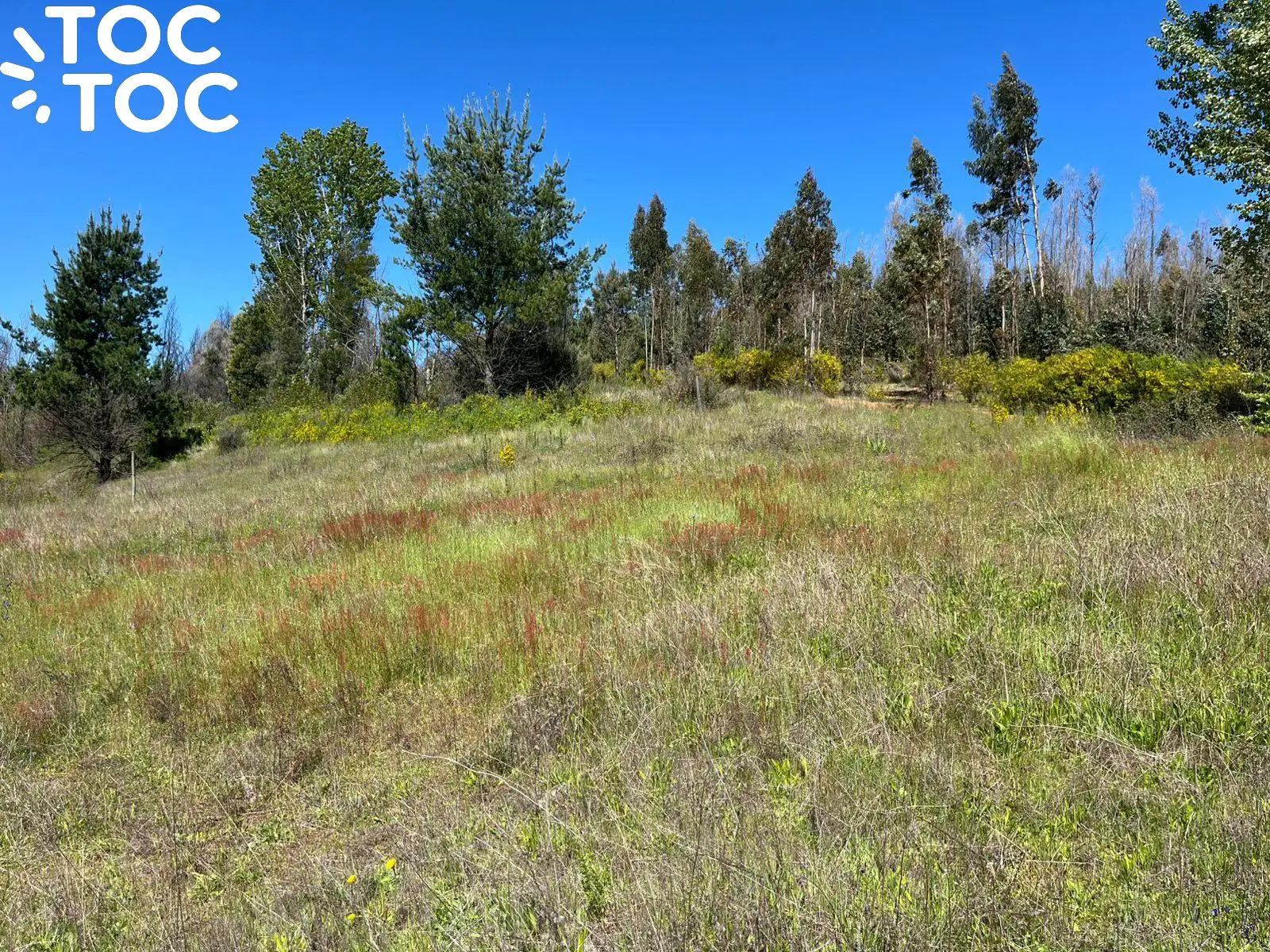 Campo en venta en Coelemu — foto 6