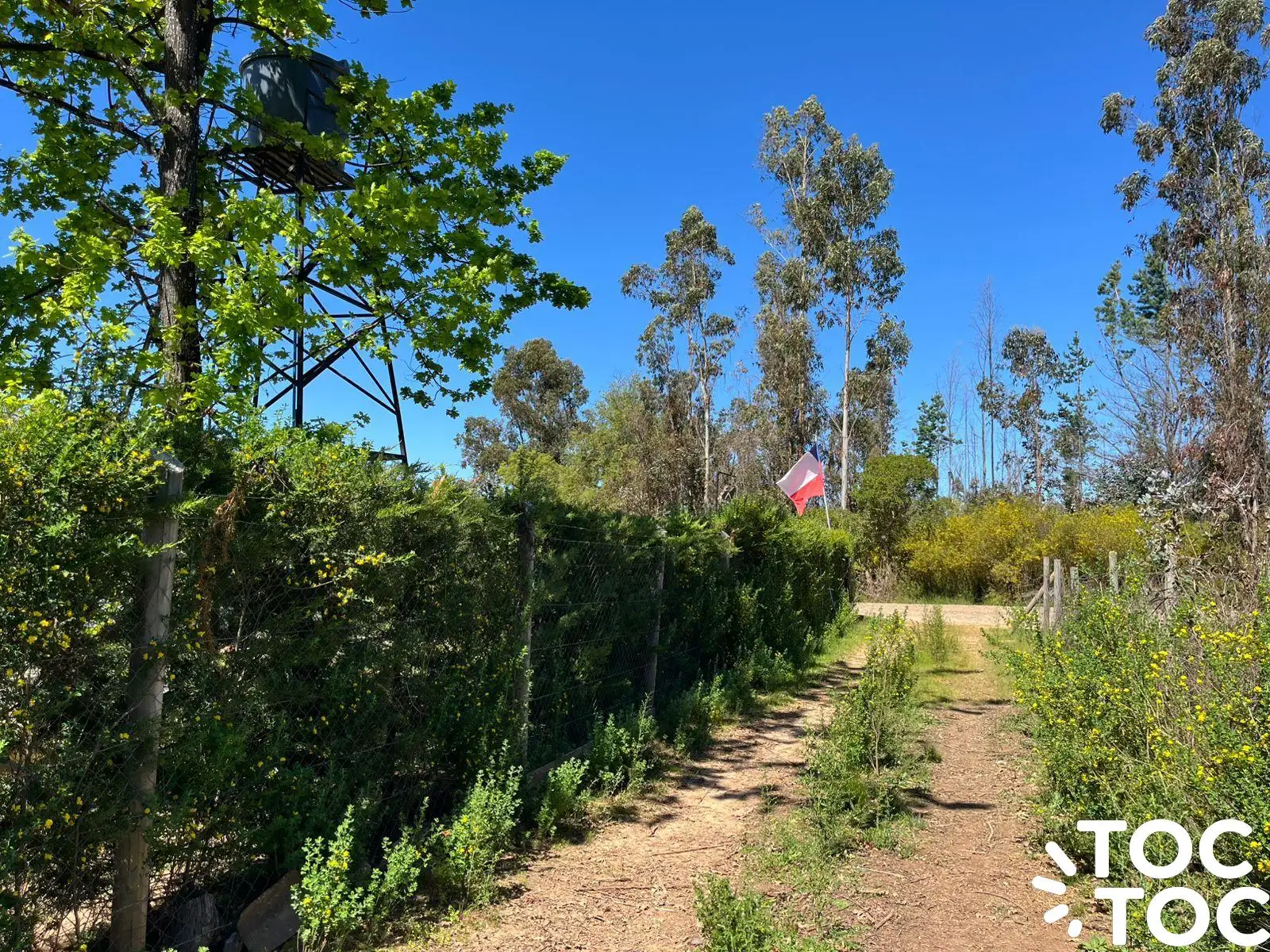 Campo en venta en Coelemu — foto 8