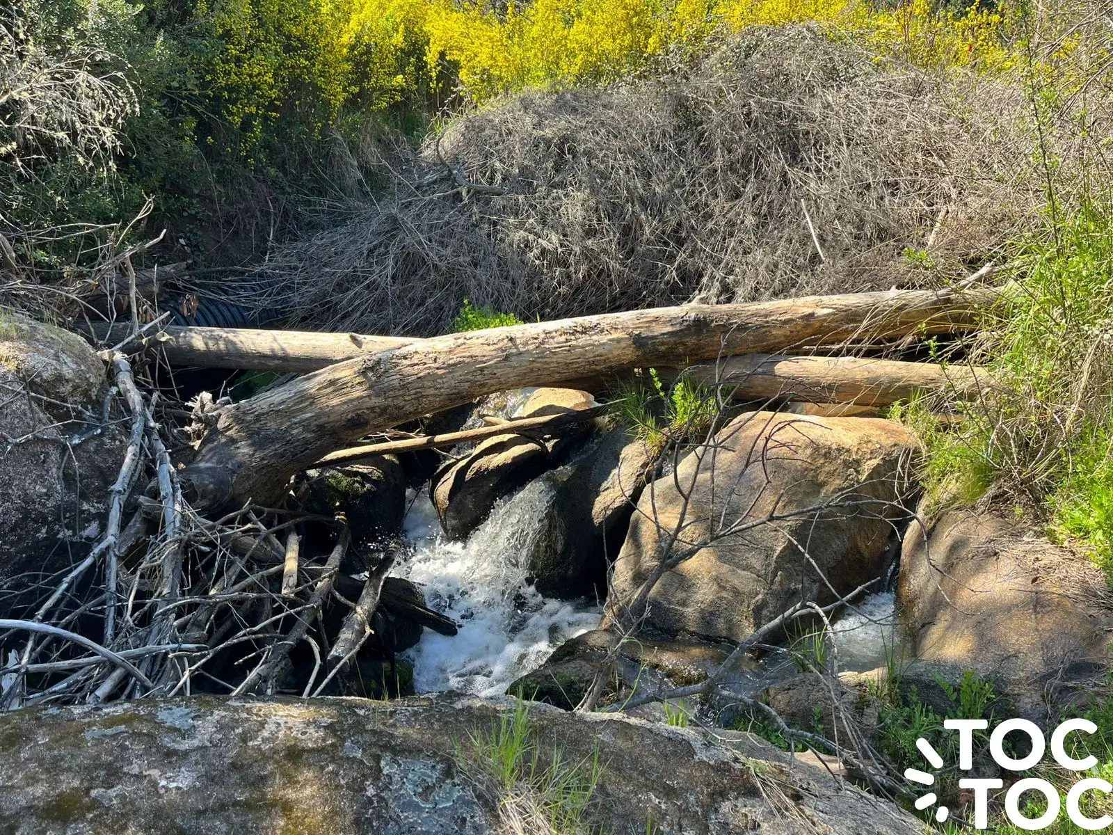 Campo en venta en Coelemu — foto 9